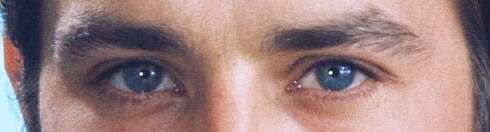 Alain delons unique eyes what shape are they really v0 jjhdt2qlmvhb1 1