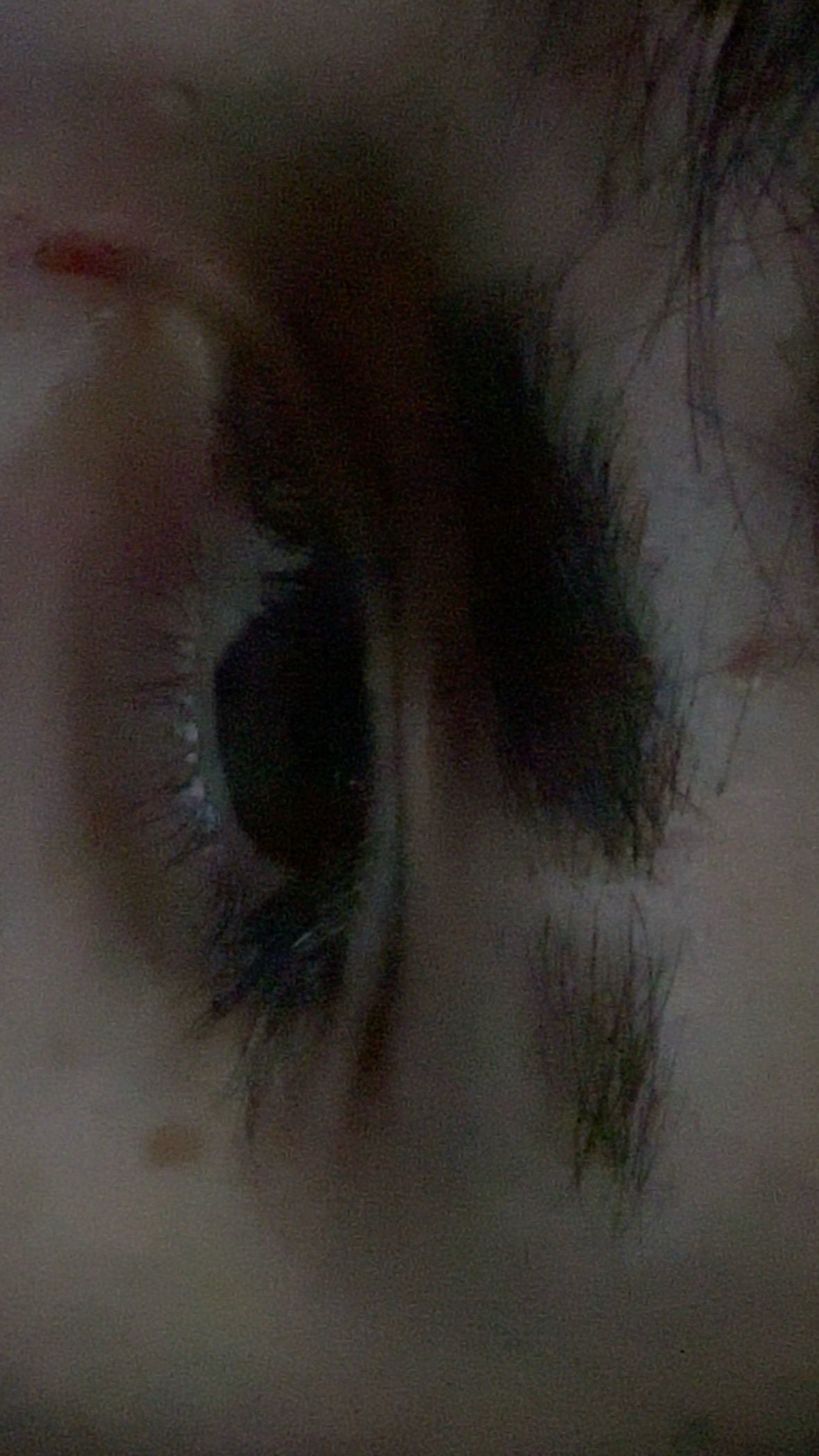 0ABF8F4E A82D 475F 9ECC AD68DA29D140