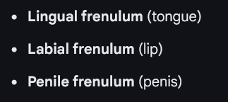 Screenshot 2026 03 28 154144