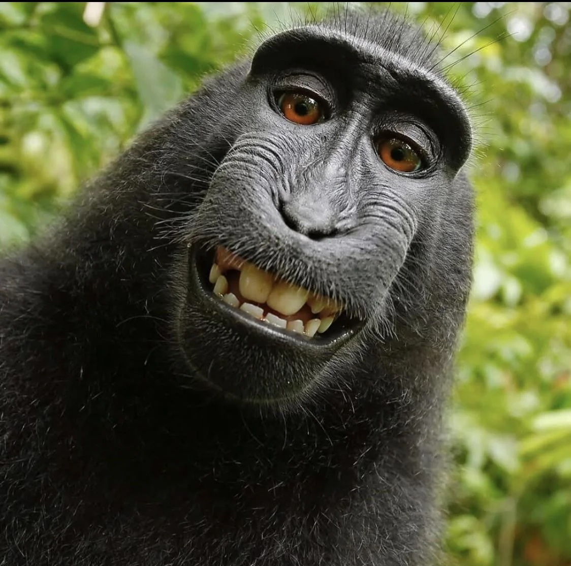 RDT 20260327 1149412917675686574133077