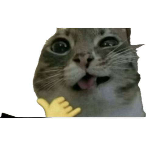 1774764919008