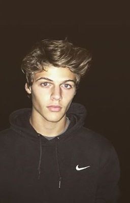 117817912 256 k355596