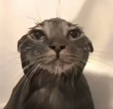 Screenshot 2025 07 06 154240