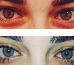 Screenshot 2026 03 29 222614