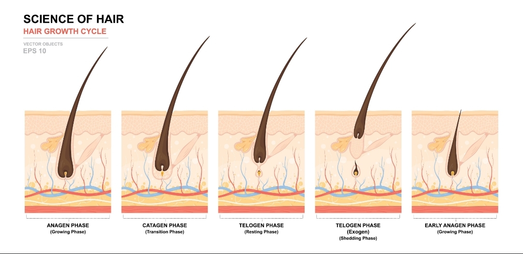 Screenshot 2026 03 30 10 08 30 743 edit comgoogleandroidgooglequicksearchbox