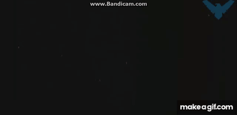 IMG 0555