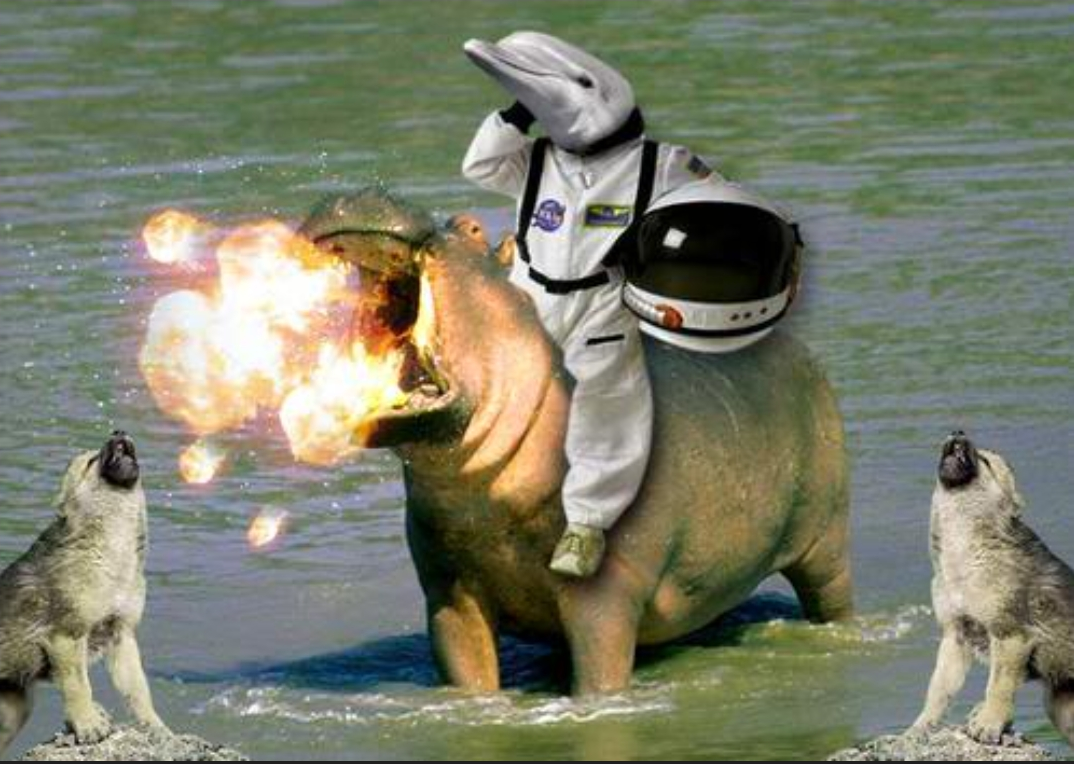 Screenshot 20260330 203345 Google