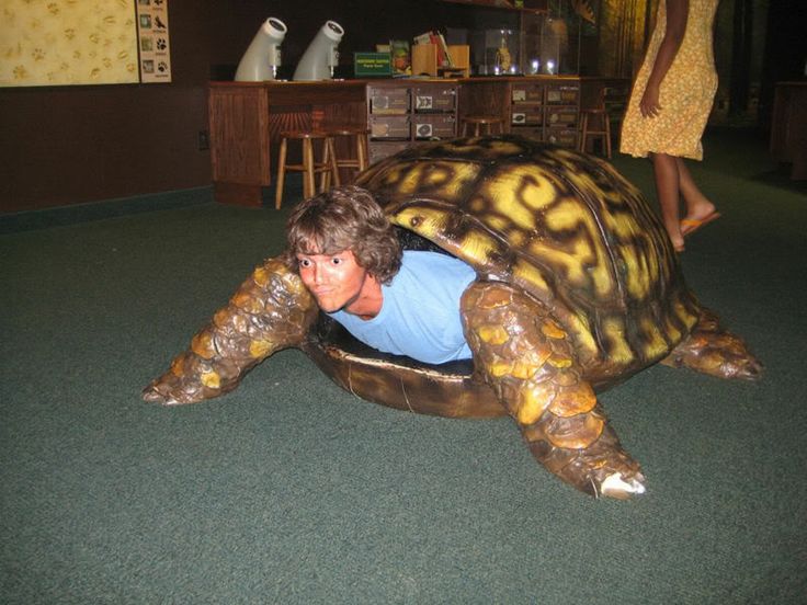 F7829dd0776533cb259e7695522bf44c