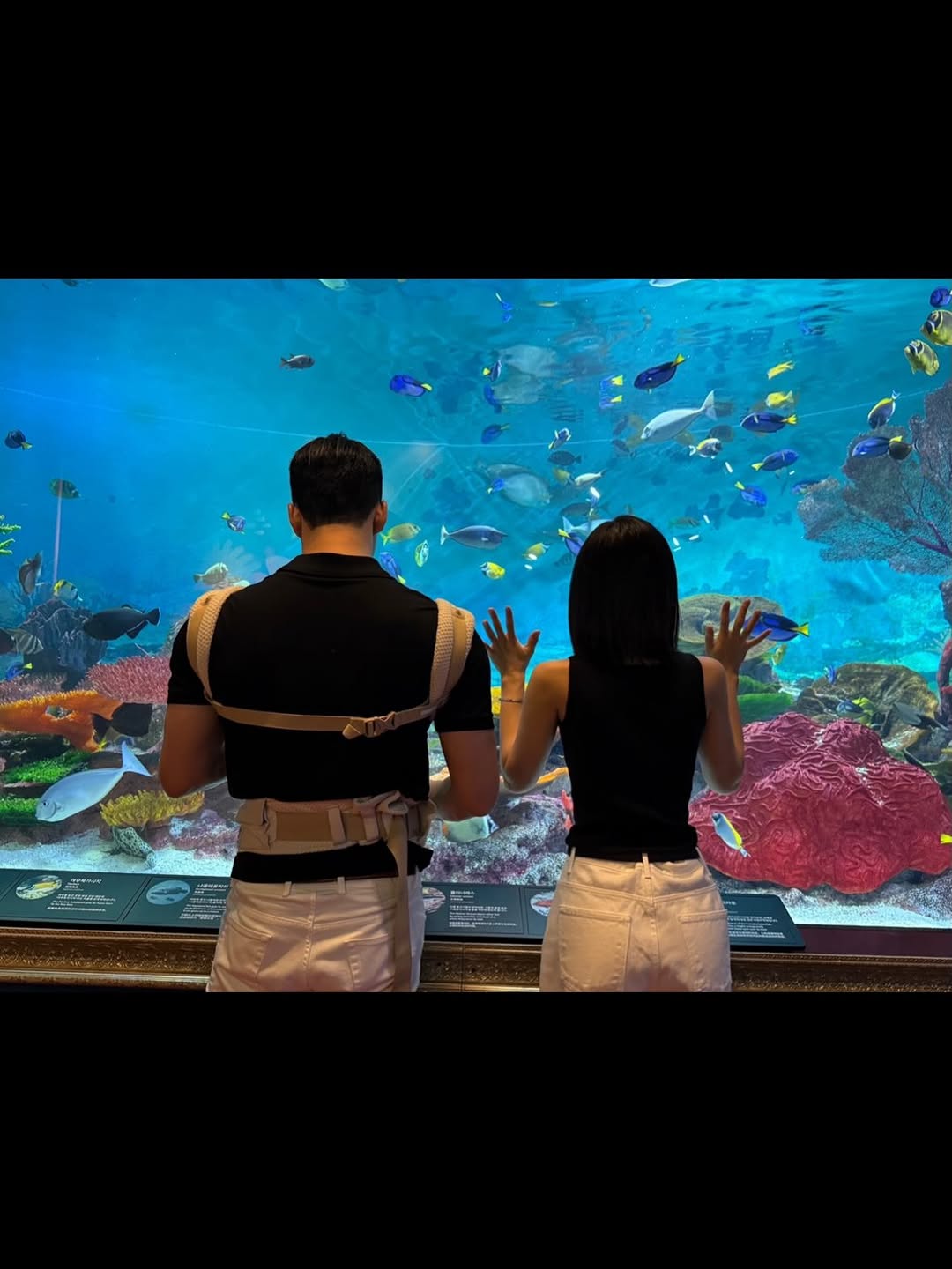 658320002 18313563988285993 8795650916846718848 n