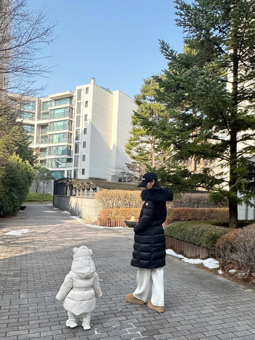 660283658 18313564033285993 2737023620162638126 n