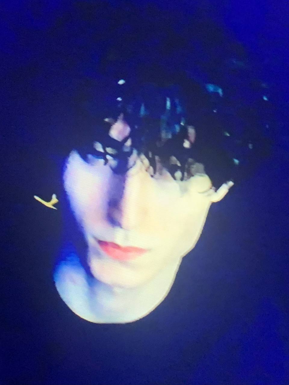 Photo 5931595164767947938 y 1