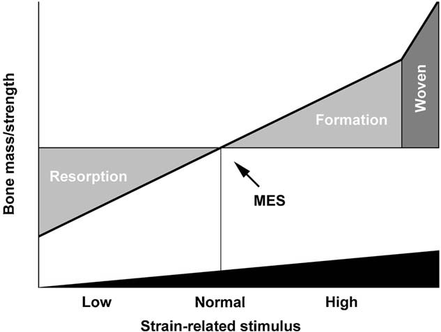 New Amplitude response relation