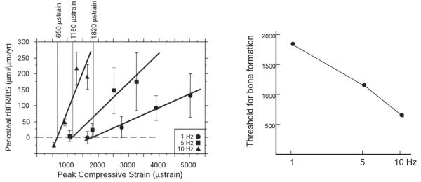 Freq effect on amplitude formation