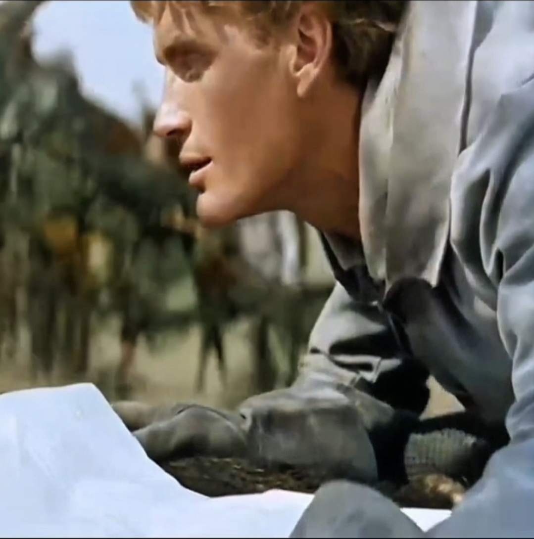 Screenshot 20260329 194046 Gallery