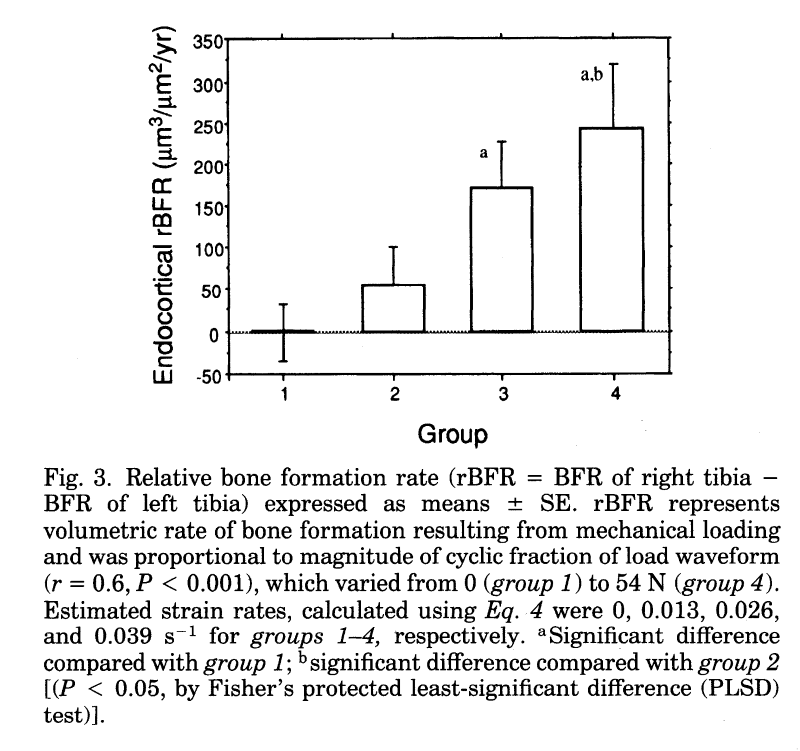 Strain rate 2