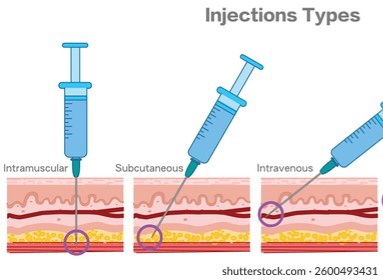 Injection angle types intramuscular subcutaneous 260nw 2600493431