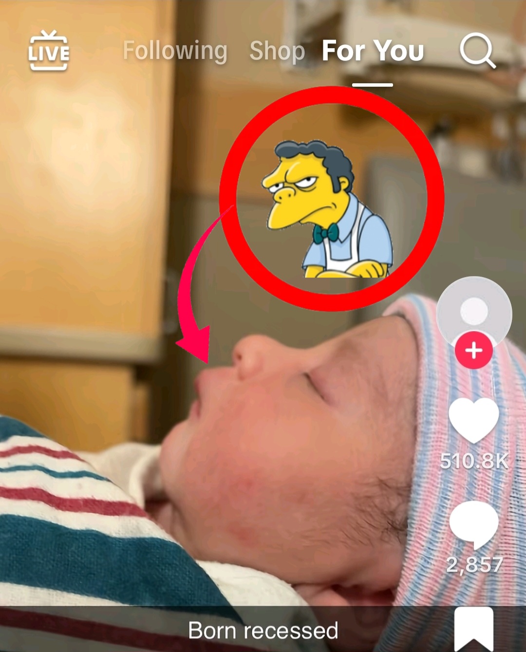 Lv 0 202603311538021