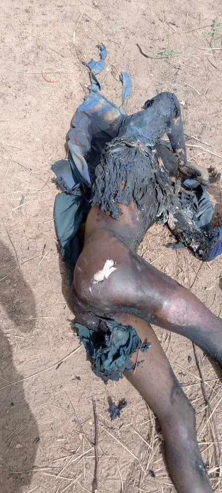 5778375 IMG 20260119 034247 809