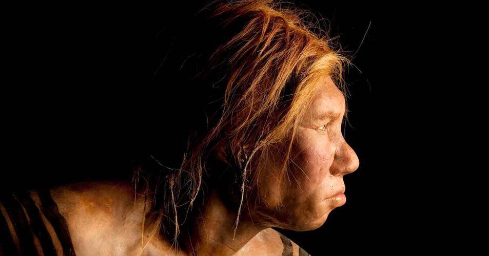 Neanderthal-GettyImages-1294965810.jpeg