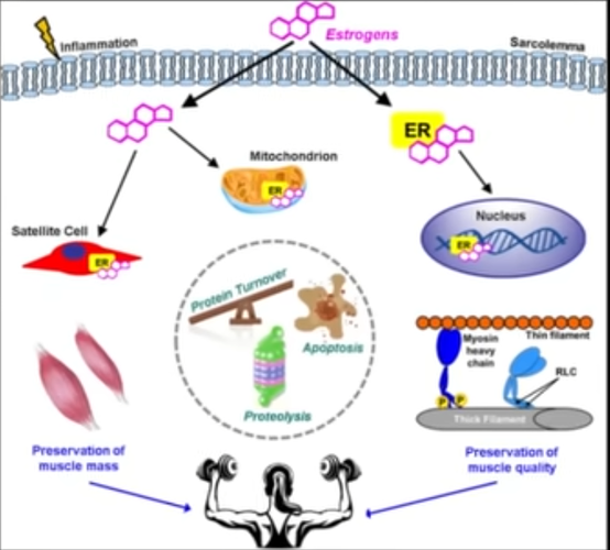 Imagen 2026 03 04 153701540