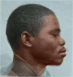 5387865 1759347267193