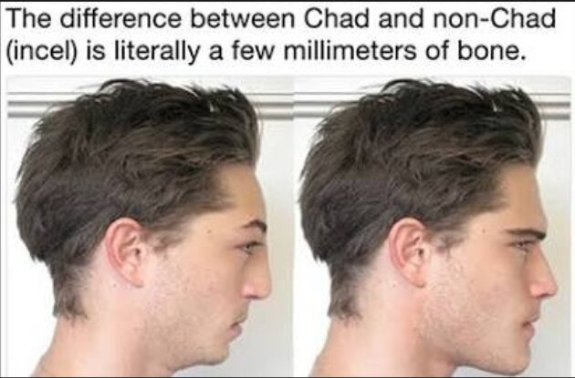 Screenshot 20260306 170422 Chrome