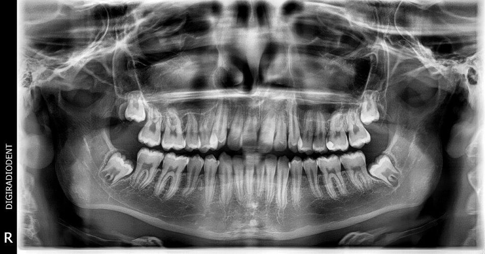 CALUGAR ANDREI VICTOR.jpg