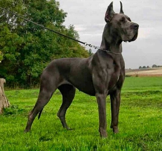 Diseno sin titulo 2020 06 25T130645730