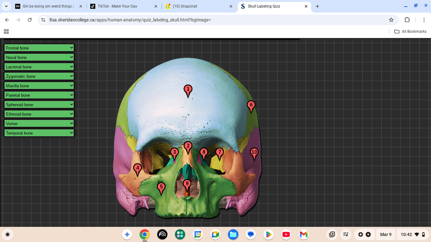 Screenshot 2026-03-09 10.42.15 PM.png