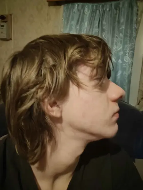 holy chopped side profile.webp