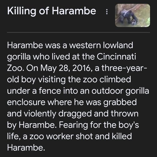 Screenshot 20260313 075010 Chrome