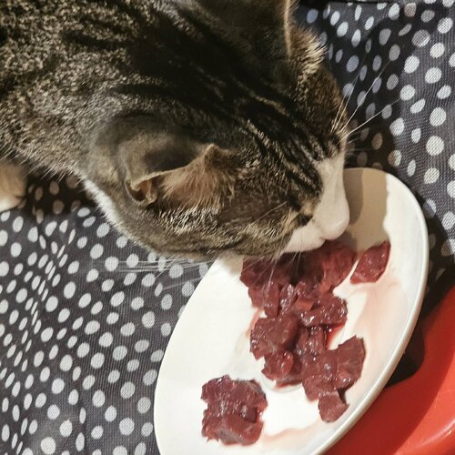 Signal 2026 03 13 211246 005