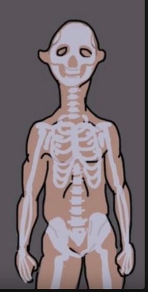 Screenshot 2026-03-14 064624.png