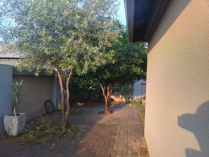 IMG 20260228 173920 HDR