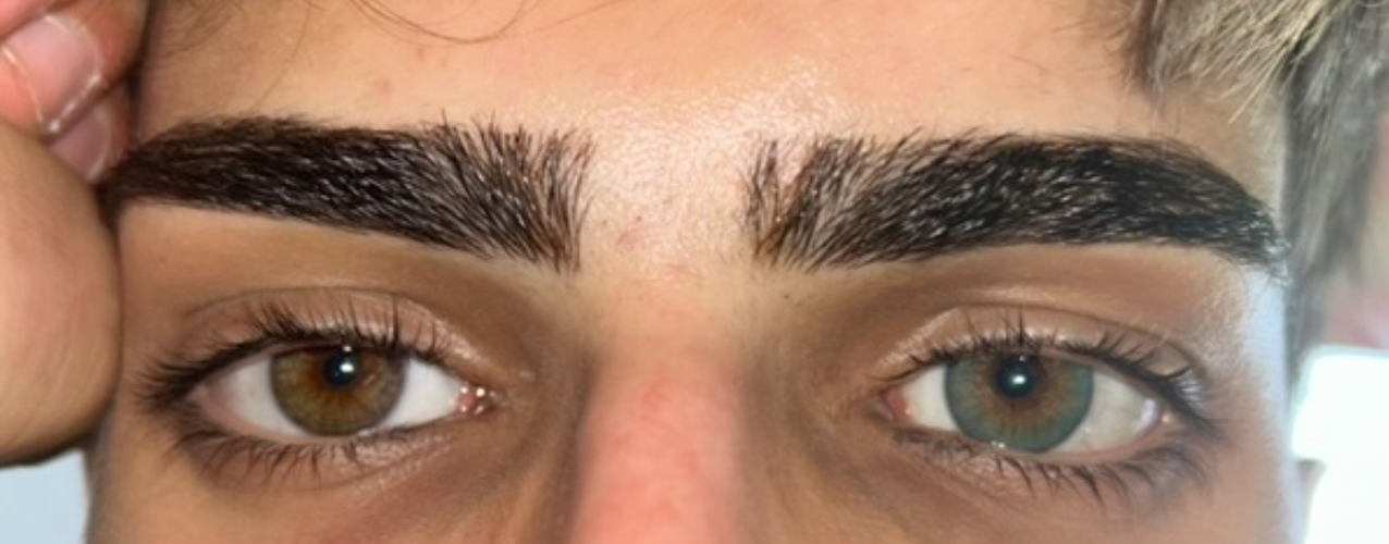 Captura de ecrã 2026-03-16 000633.png