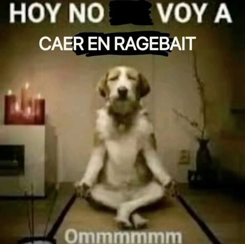 IMG_1069.jpeg