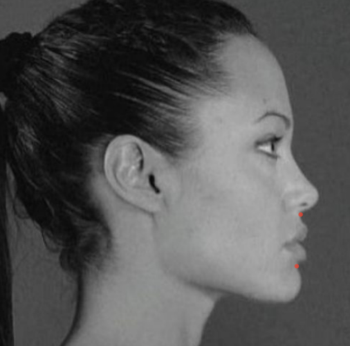 Screenshot 2026-03-19 at 3.09.35 PM.png