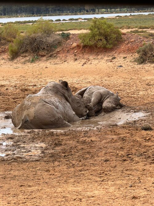 WhatsApp Image 2026 03 19 at 21348 PM