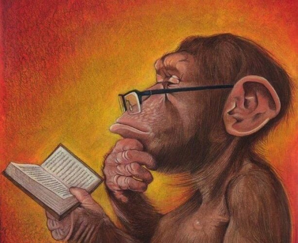 Cf804c19fae2abb33ac26082902caf05