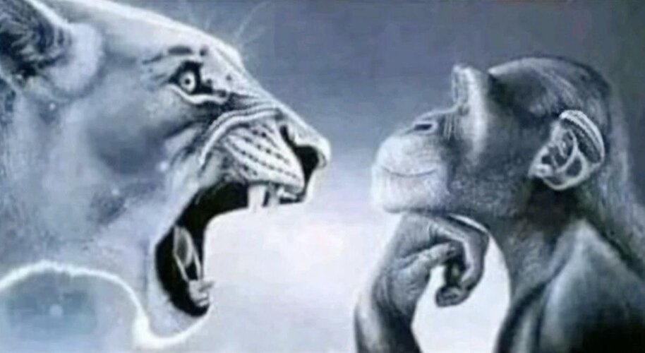 5e022185231c6b7319f1d94d60c1d04a