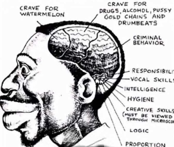 5646180 5376800 5332578 IMG 4732