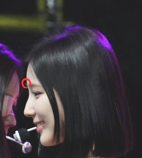 6028221 4379895 4289119 230525 ALICE Sohee documents 8