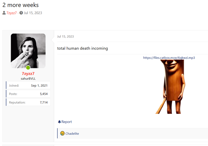 Librewolf kQuRyClG39