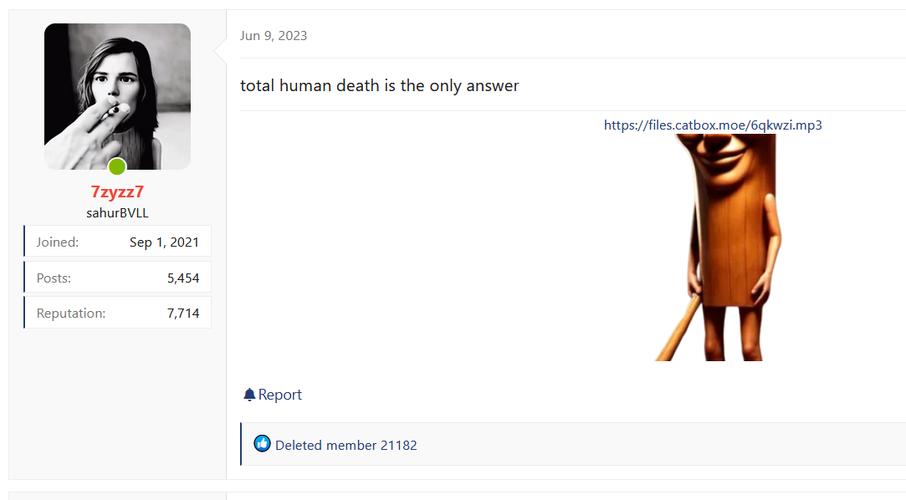 Librewolf GjWV84cjkQ