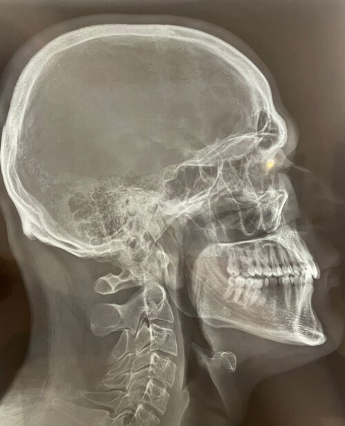 WhatsApp Image 2026-03-29 at 20.41.44.jpeg