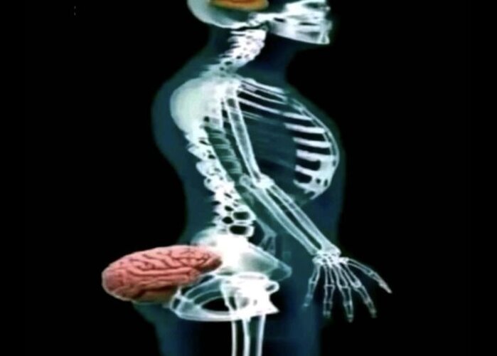 1de67bca554c05ddf781fa46e27bb1c7 4