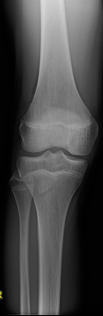 Screenshot 2026-01-23 194312.png