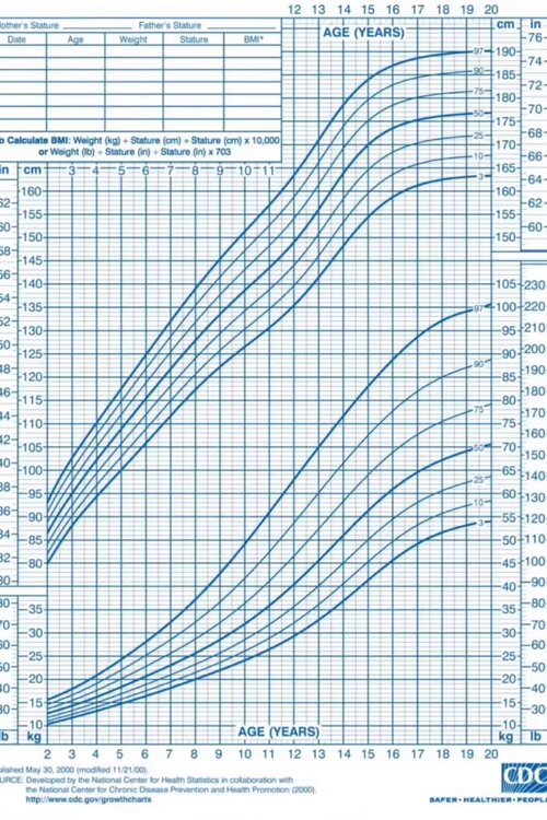 height prediction.jpeg