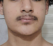 Captura de tela 2026-03-31 020149.png