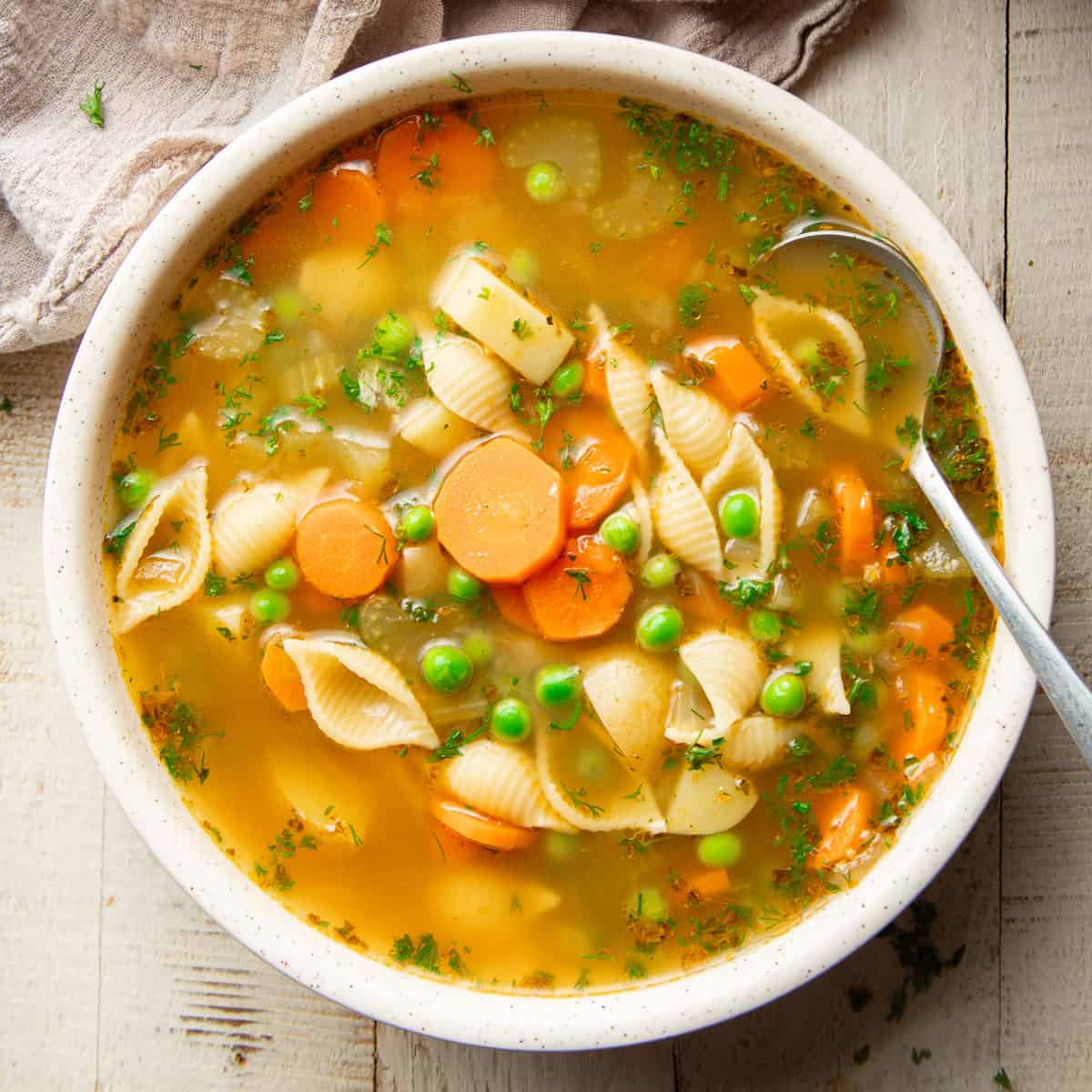 Vegetable noodle soup sq